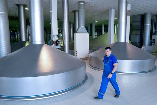 Russia Brewing Industry