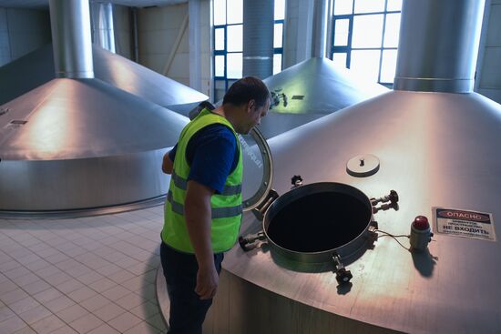 Russia Brewing Industry