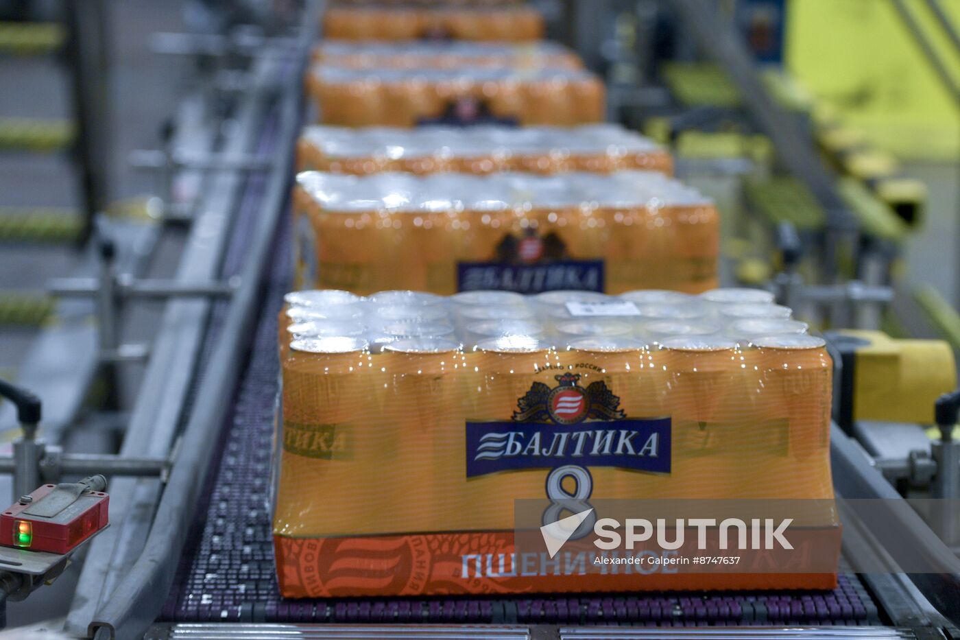 Russia Brewing Industry