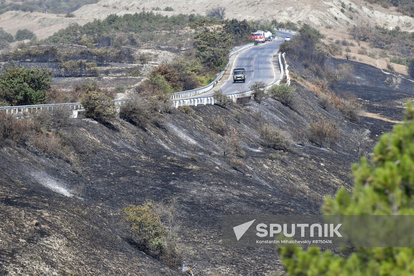 Russia Crimea Wildfire