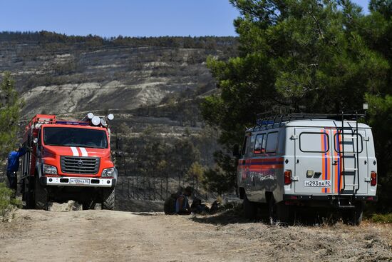 Russia Crimea Wildfire
