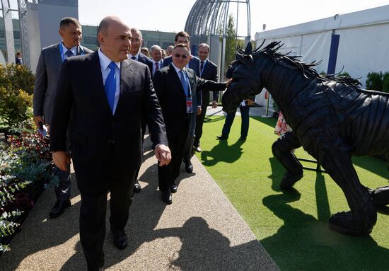 Russia Mishustin Central Federal District