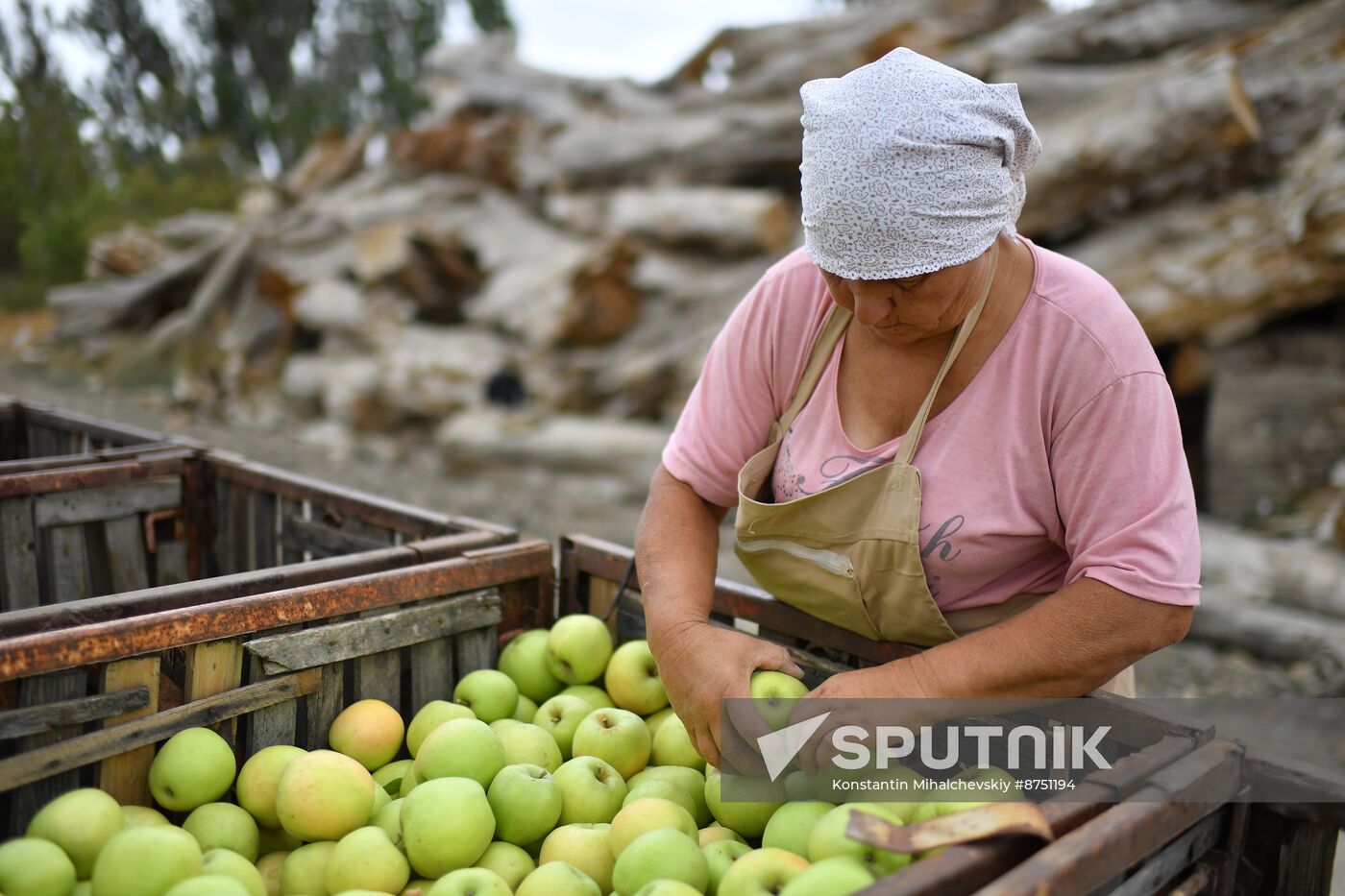 Russia Agriculture Apple Harvesting