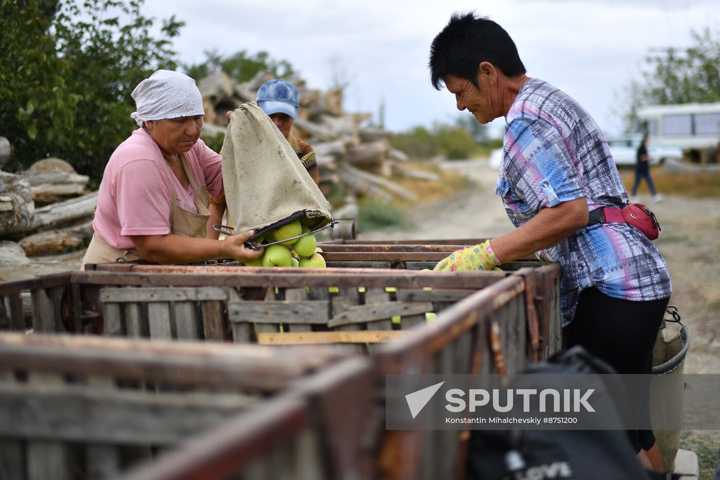 Russia Agriculture Apple Harvesting