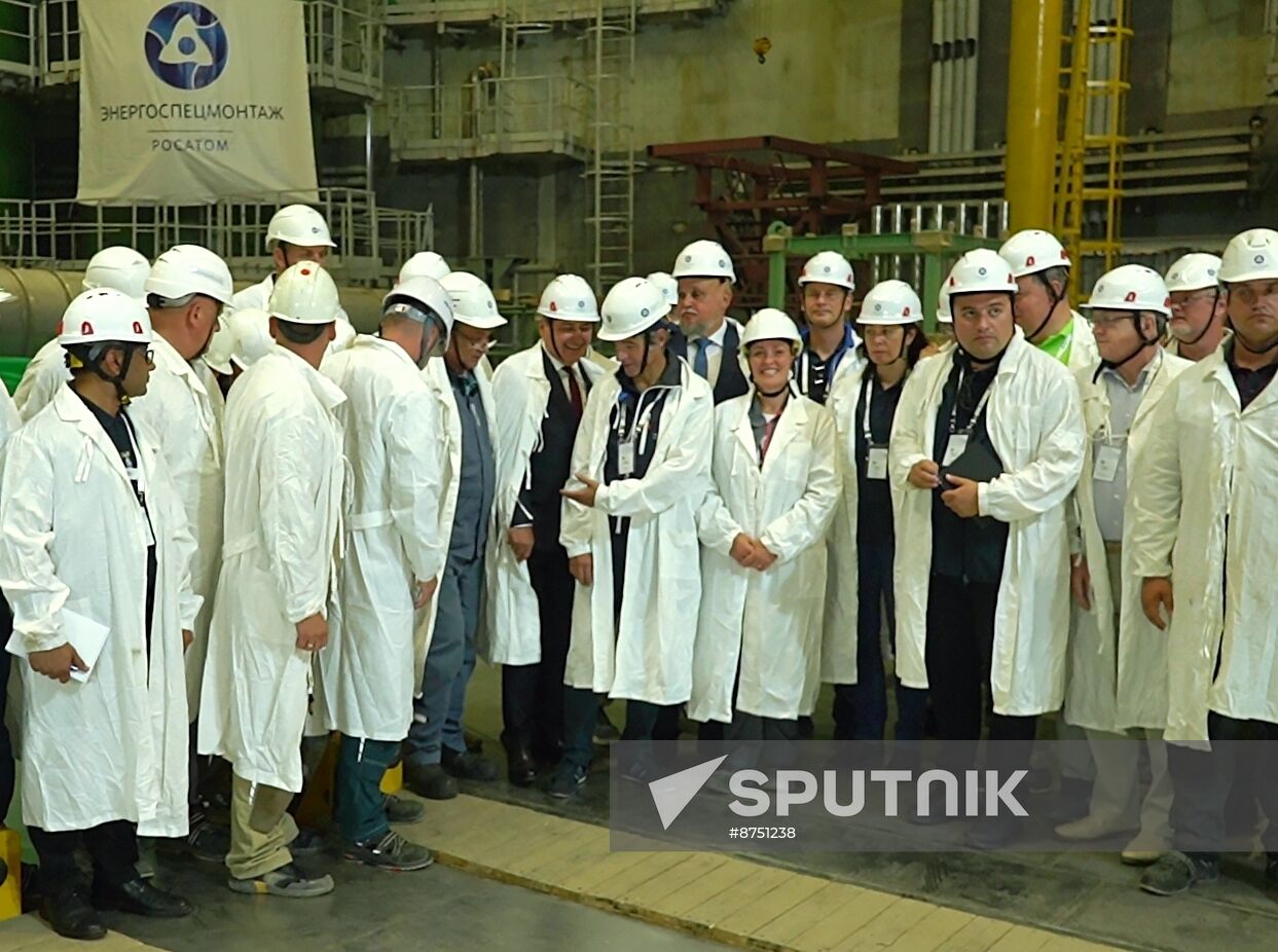 Russia IAEA Kursk NPP