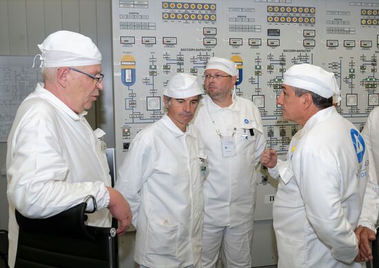 Russia IAEA Kursk NPP