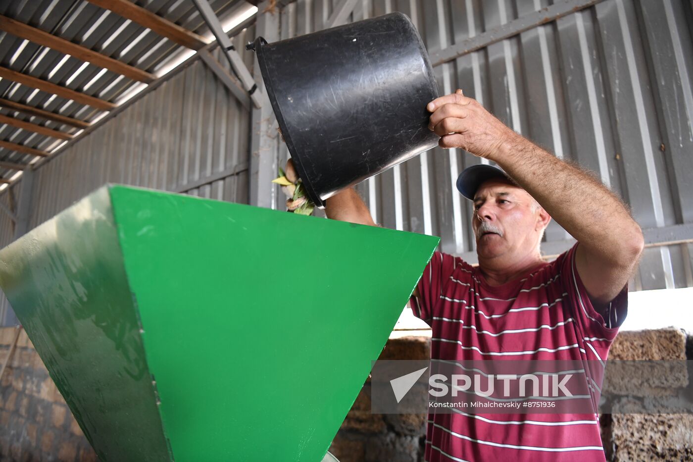 Russia Agriculture Almond Harvesting