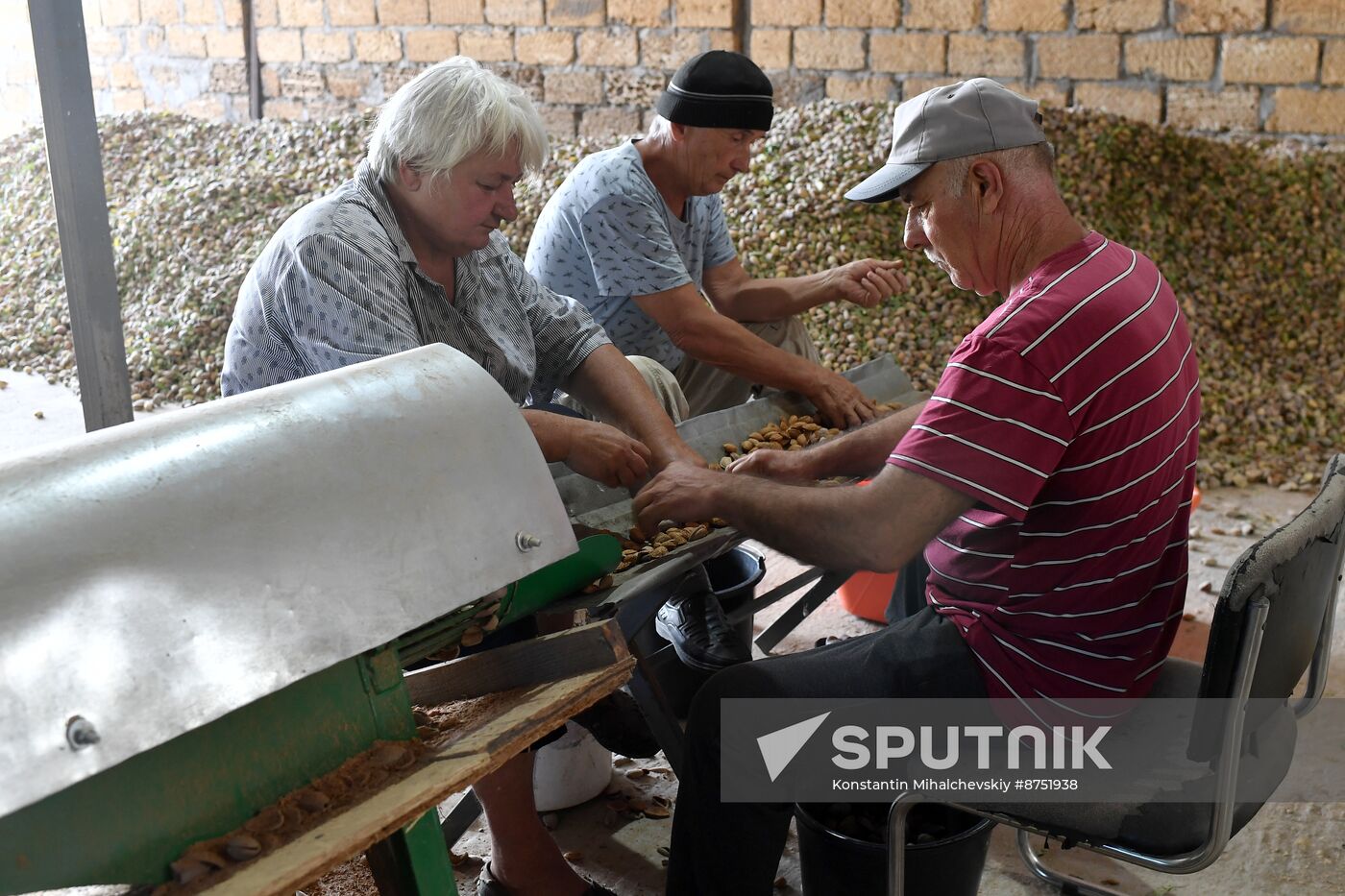 Russia Agriculture Almond Harvesting