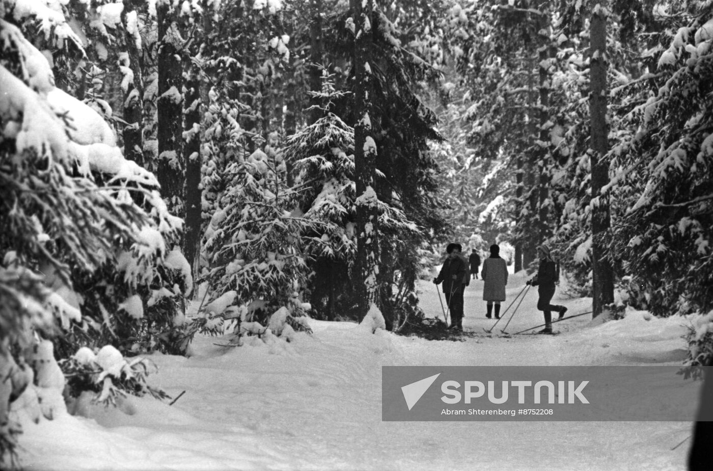 Moscow Region in winter