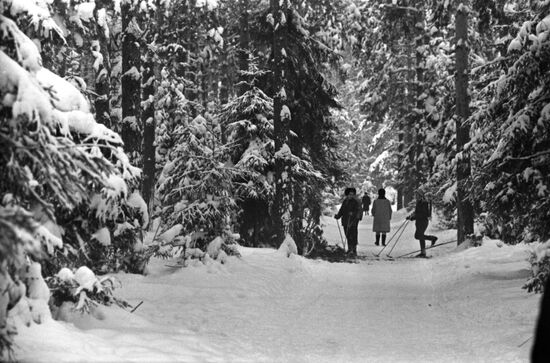 Moscow Region in winter