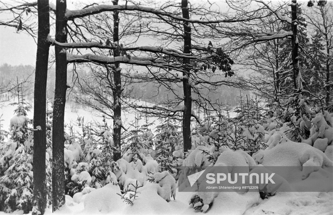 Moscow Region in winter