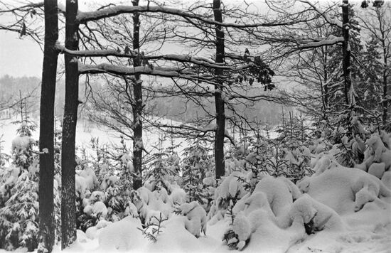 Moscow Region in winter