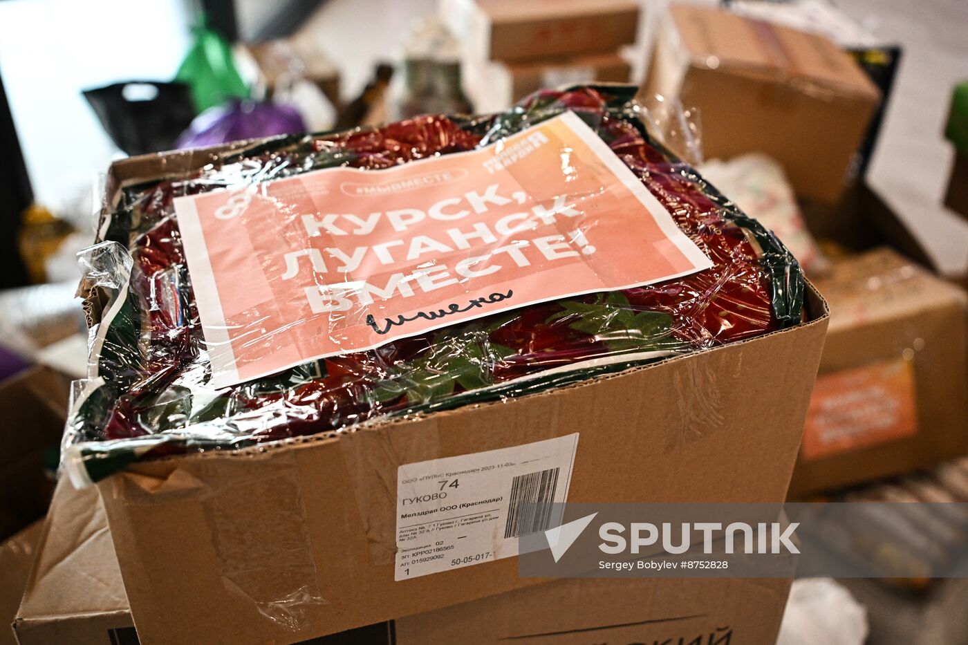 Russia Ukraine Kursk Attack Humanitarian Aid