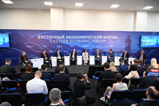 EEF-2024. Russian Logistics Connectivity. The Impact of Transport Corridors on Economic Development