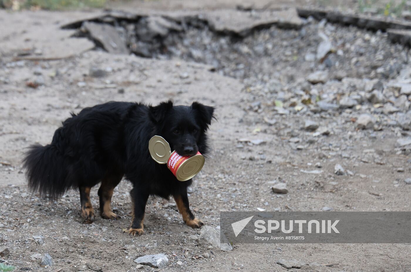 Russia Ukraine Military Operation Krasnogorovka