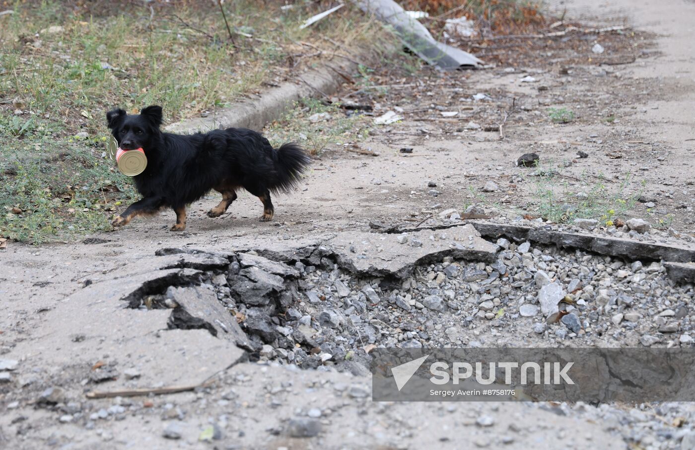 Russia Ukraine Military Operation Krasnogorovka