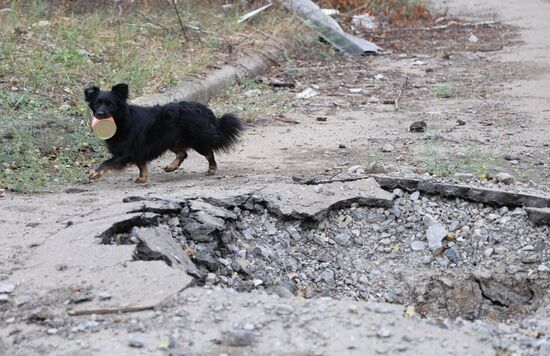 Russia Ukraine Military Operation Krasnogorovka