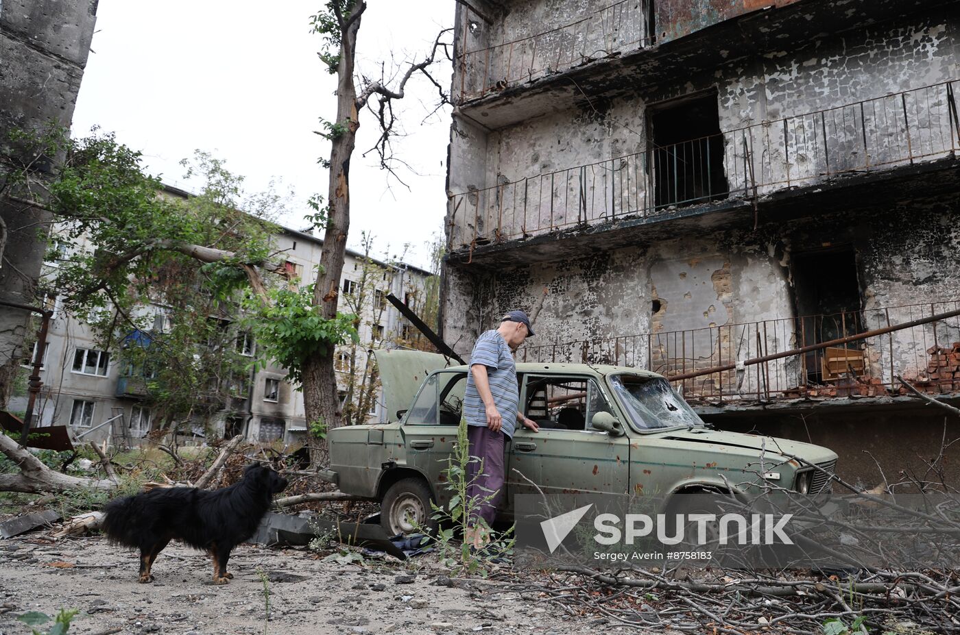 Russia Ukraine Military Operation Krasnogorovka