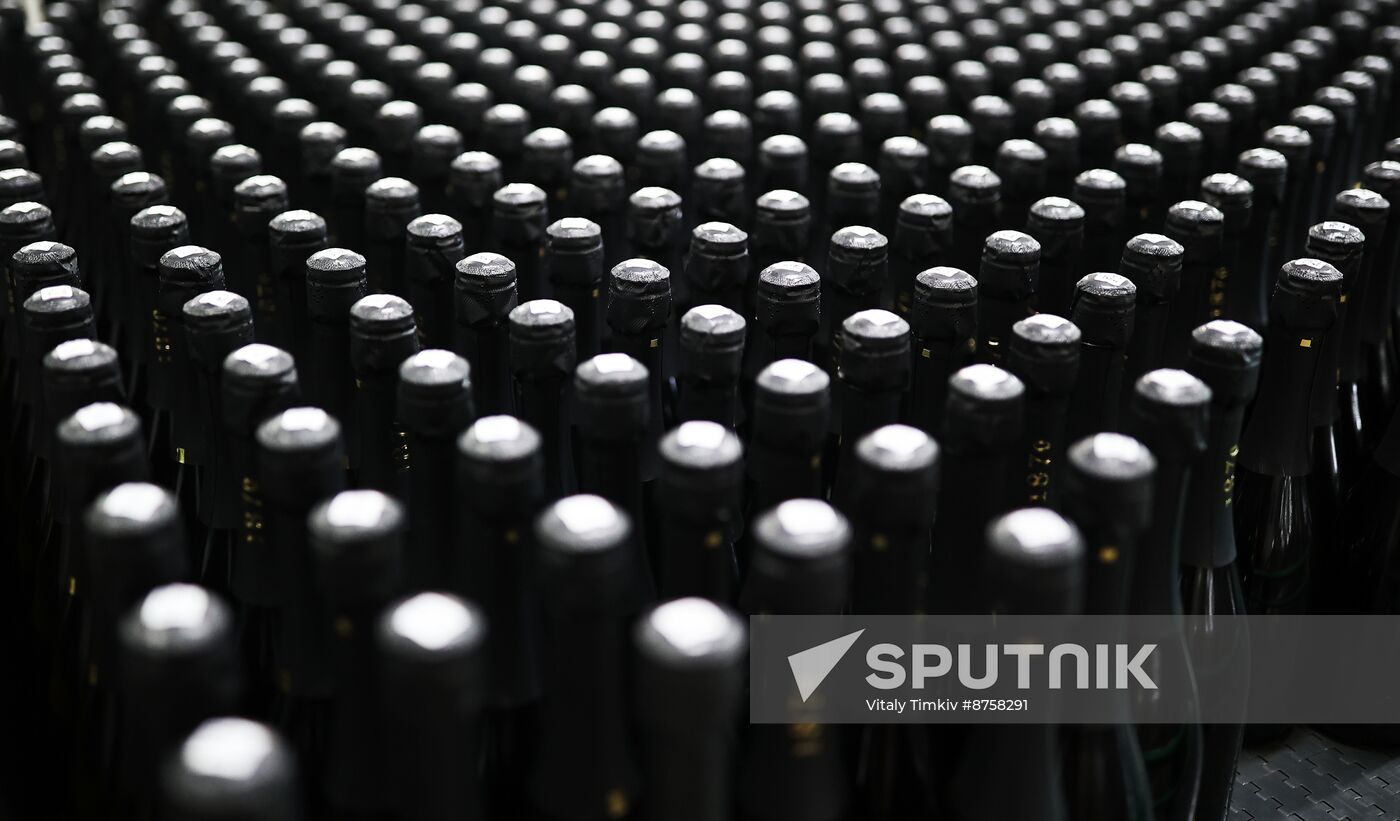 Russia Wine Industry