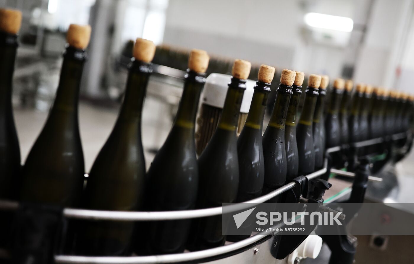 Russia Wine Industry