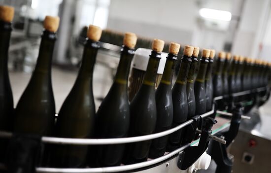 Russia Wine Industry
