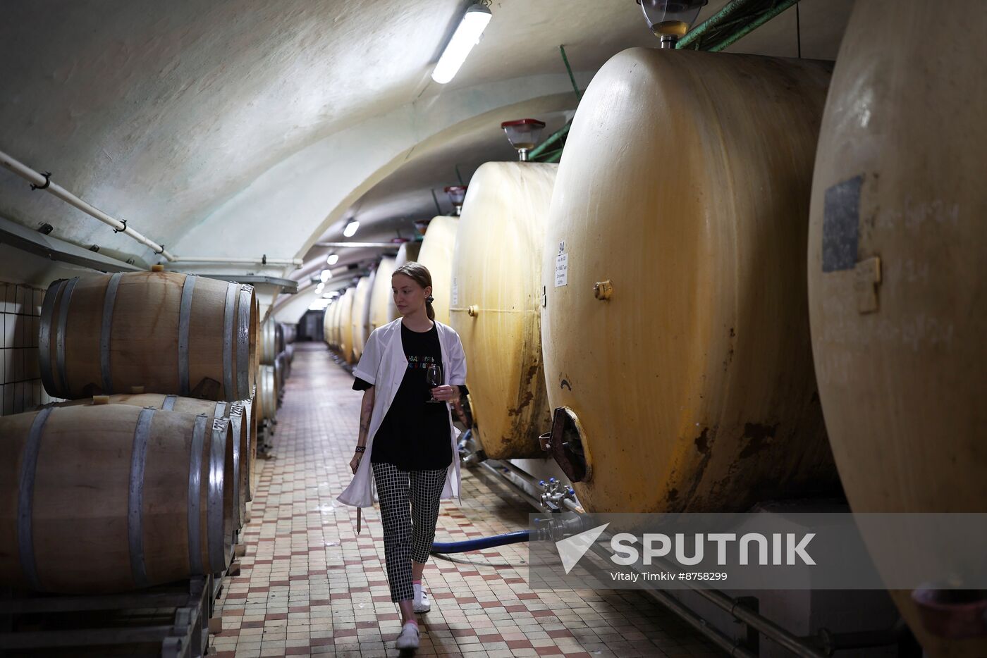 Russia Wine Industry