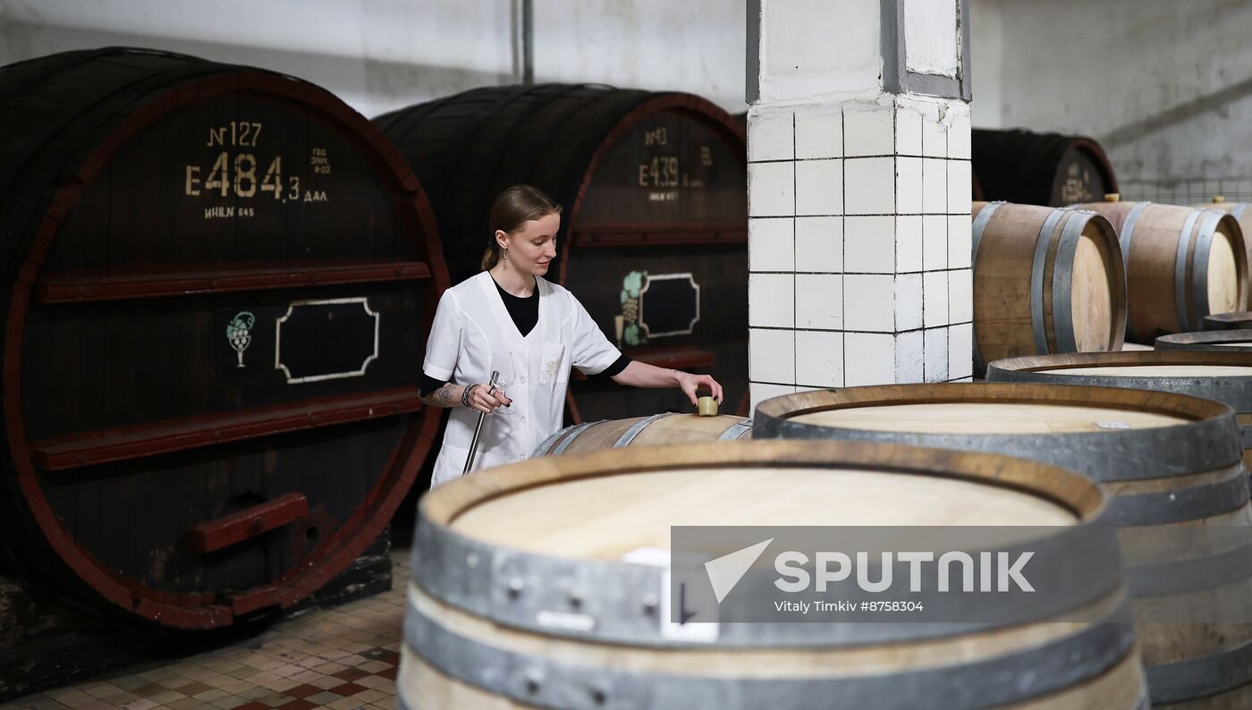 Russia Wine Industry