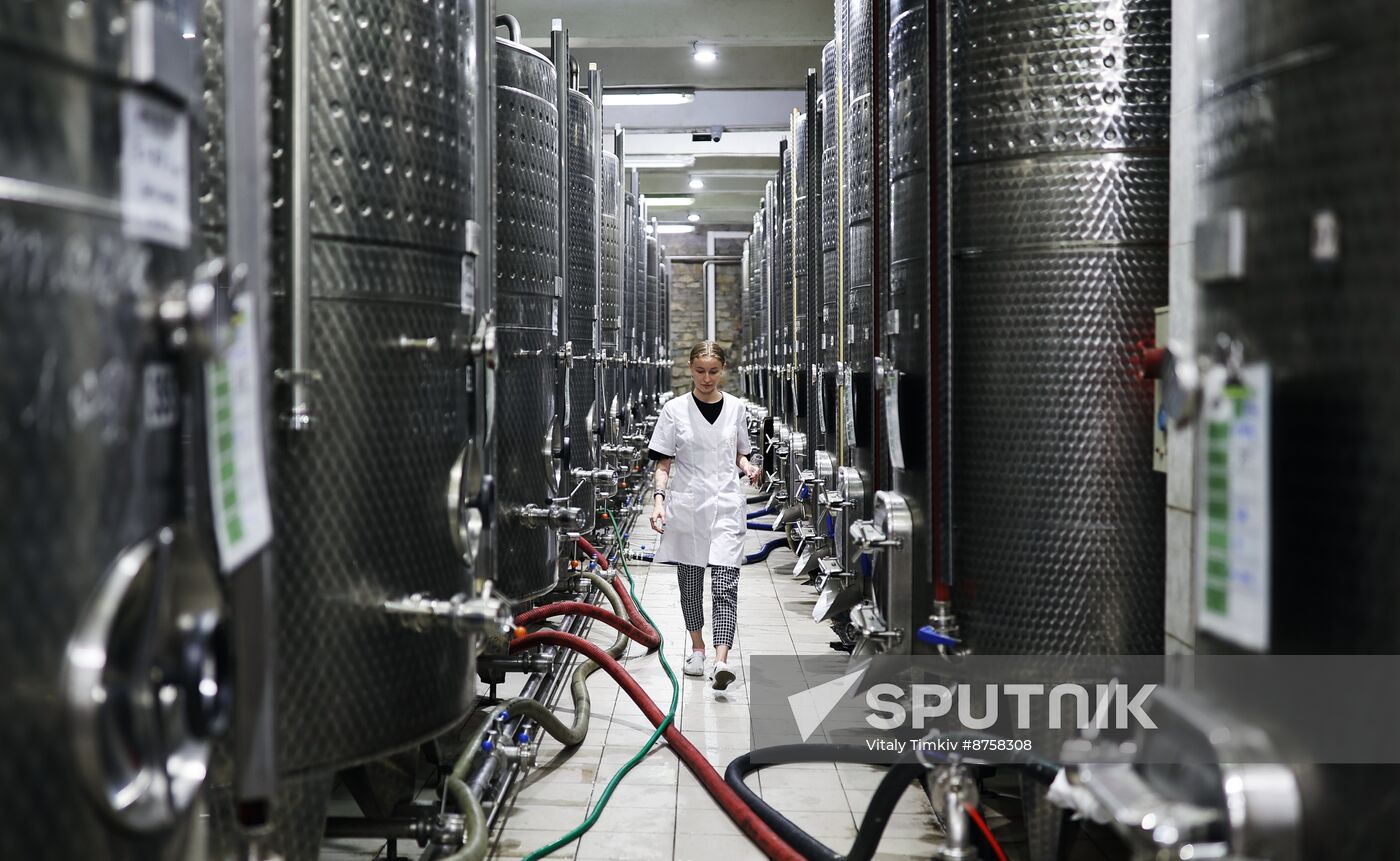 Russia Wine Industry