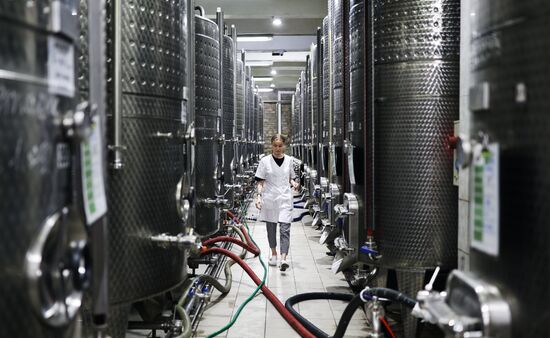 Russia Wine Industry