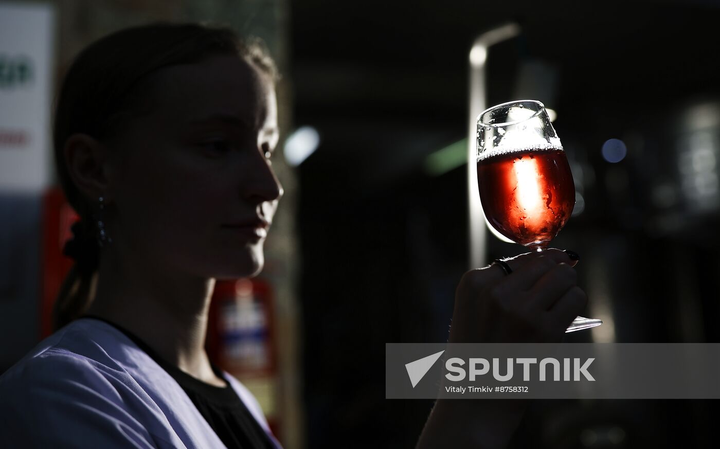 Russia Wine Industry