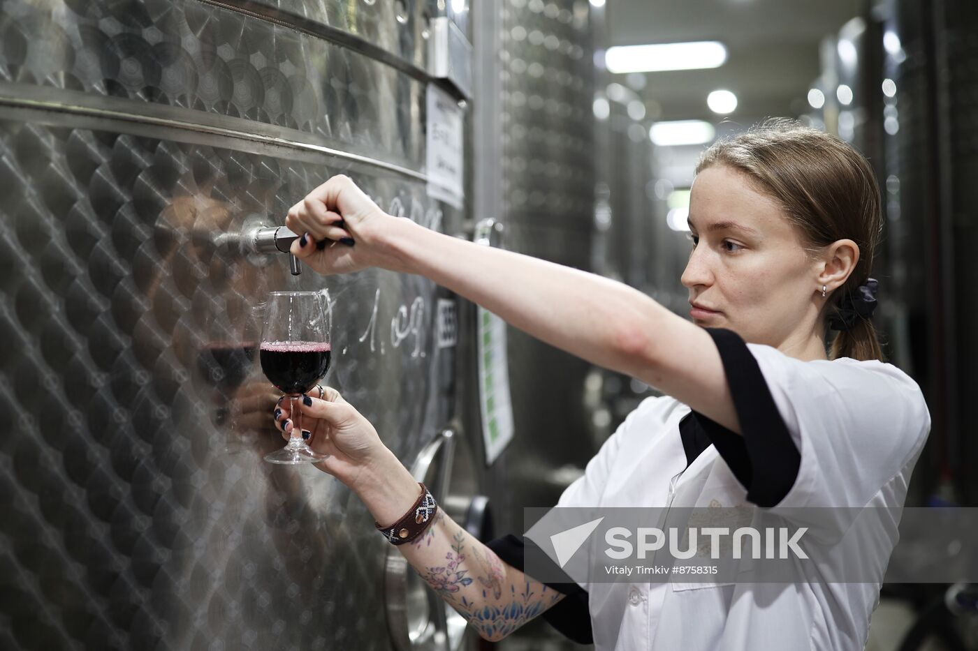 Russia Wine Industry