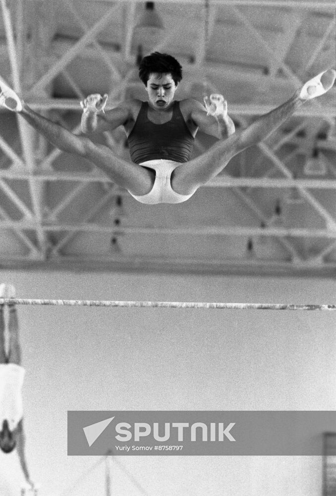 Artistic gymnastics
