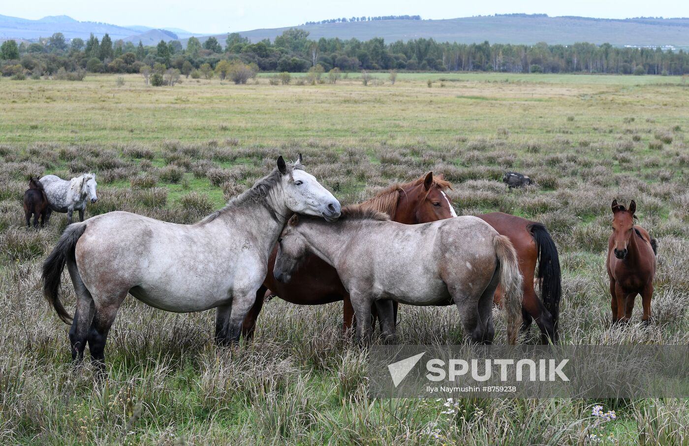 Russia Tourism
