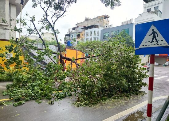 Vietnam Typhoon