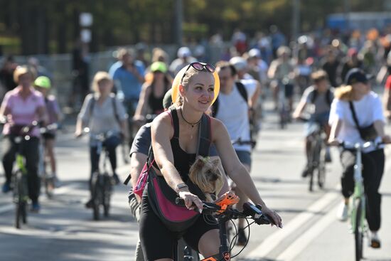 Russia Autumn Bicycle Festival