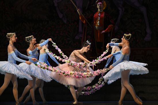 Russia Ballet Raymonda