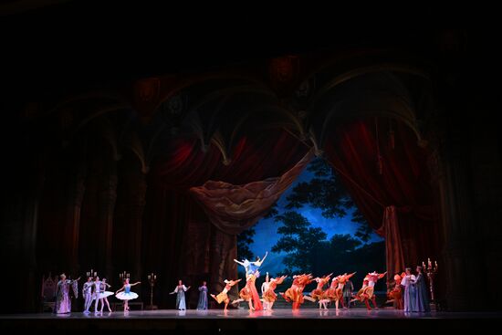 Russia Ballet Raymonda