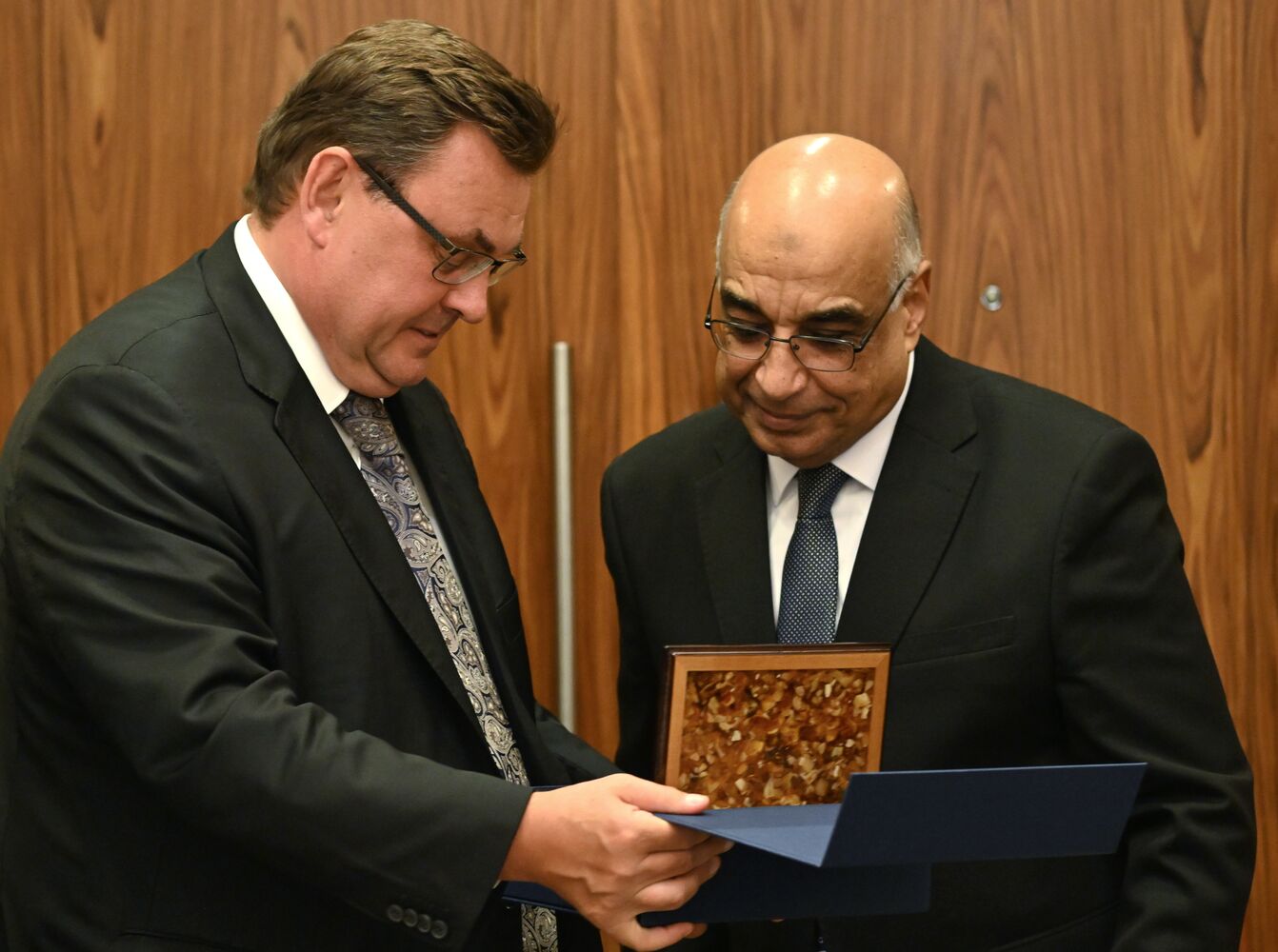 Bilateral meetings of BRCIS Ministers of Justice