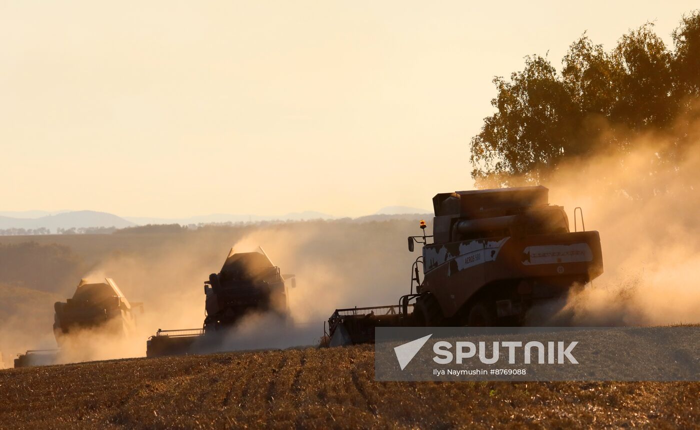 Russia Agriculture Wheat Harvesting