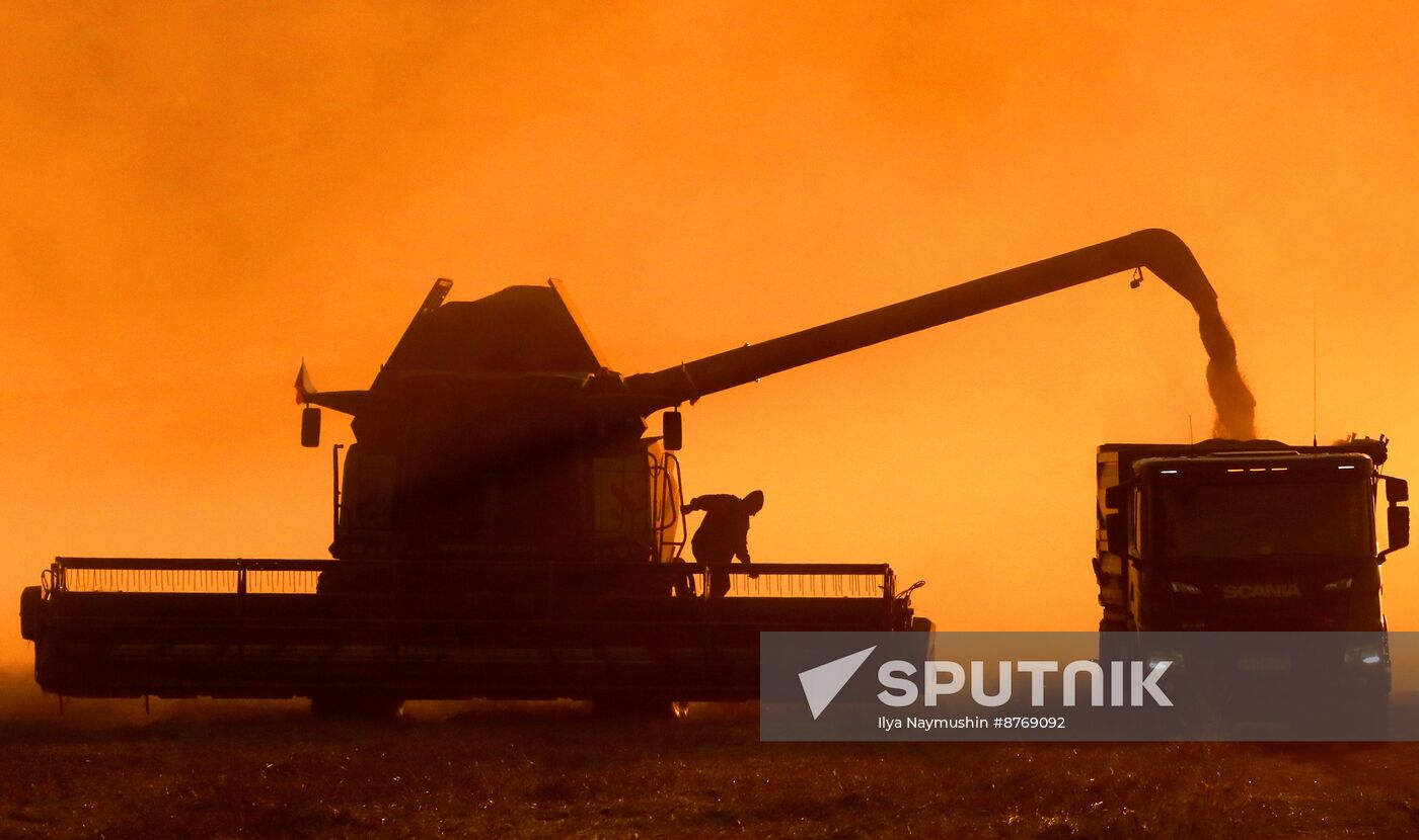 Russia Agriculture Wheat Harvesting