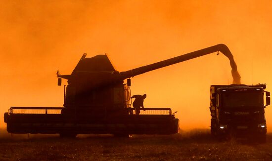 Russia Agriculture Wheat Harvesting