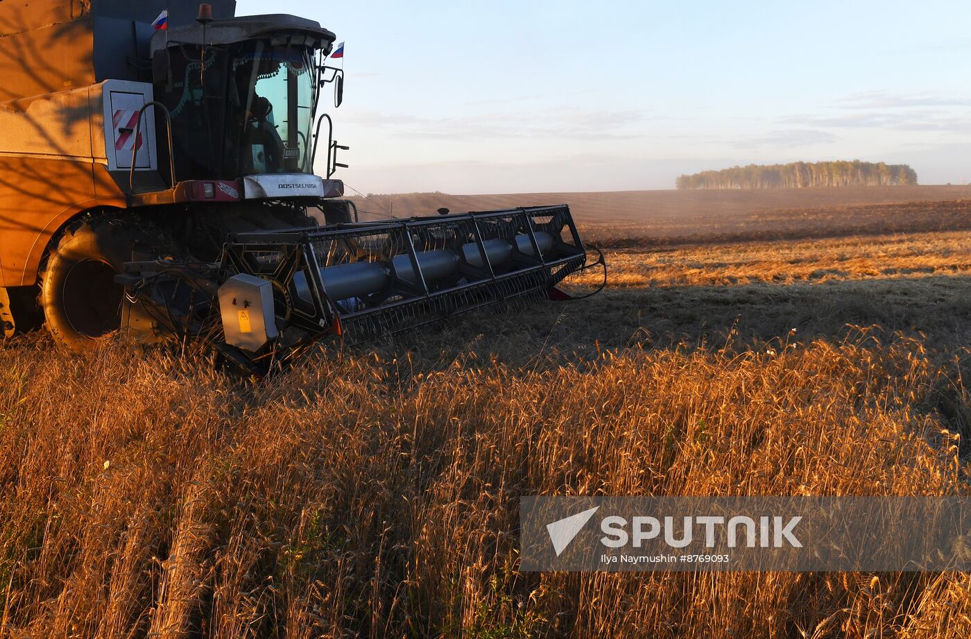 Russia Agriculture Wheat Harvesting