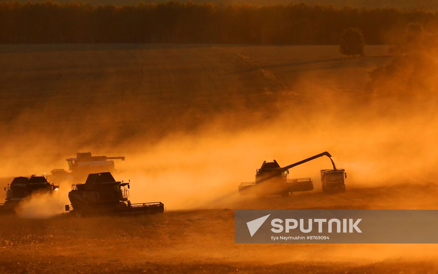 Russia Agriculture Wheat Harvesting