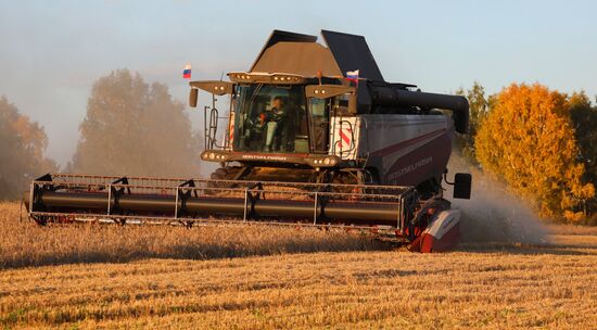 Russia Agriculture Wheat Harvesting