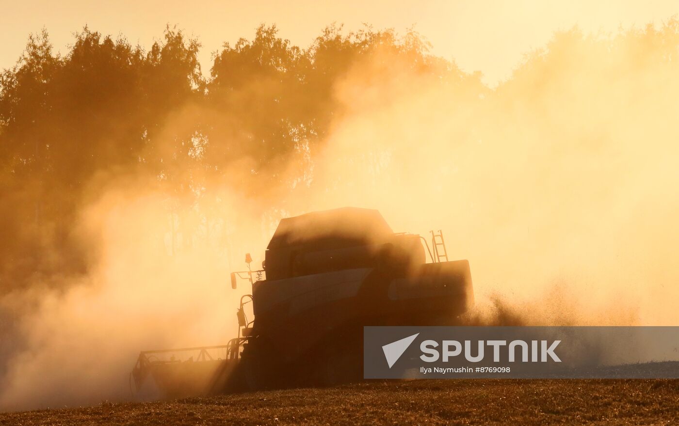 Russia Agriculture Wheat Harvesting