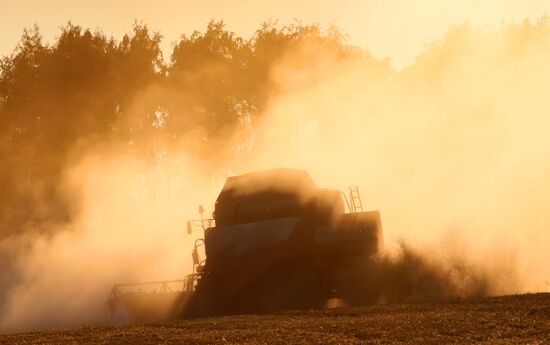 Russia Agriculture Wheat Harvesting