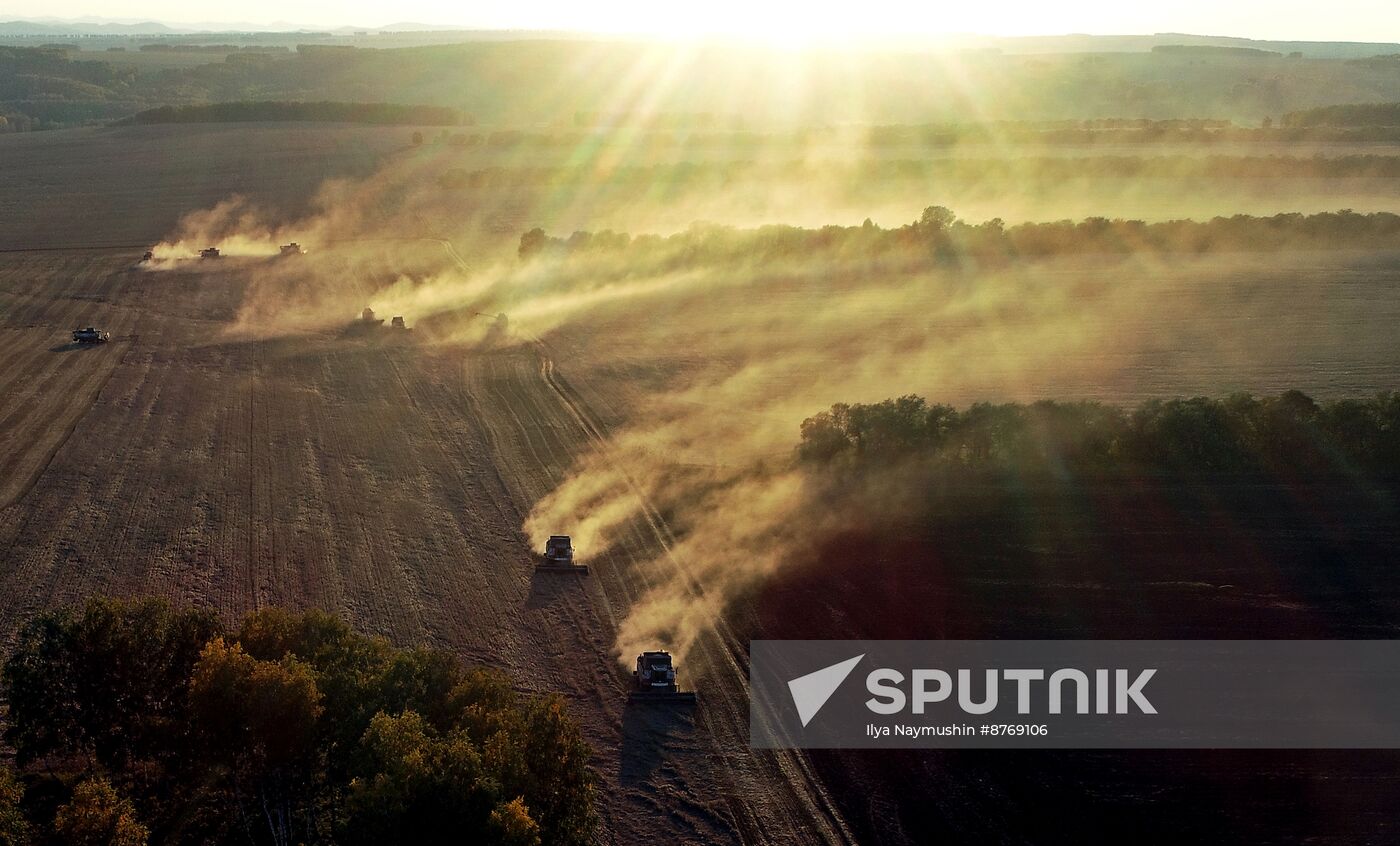 Russia Agriculture Wheat Harvesting