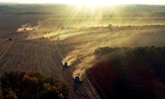 Russia Agriculture Wheat Harvesting