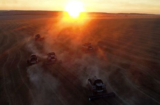 Russia Agriculture Wheat Harvesting