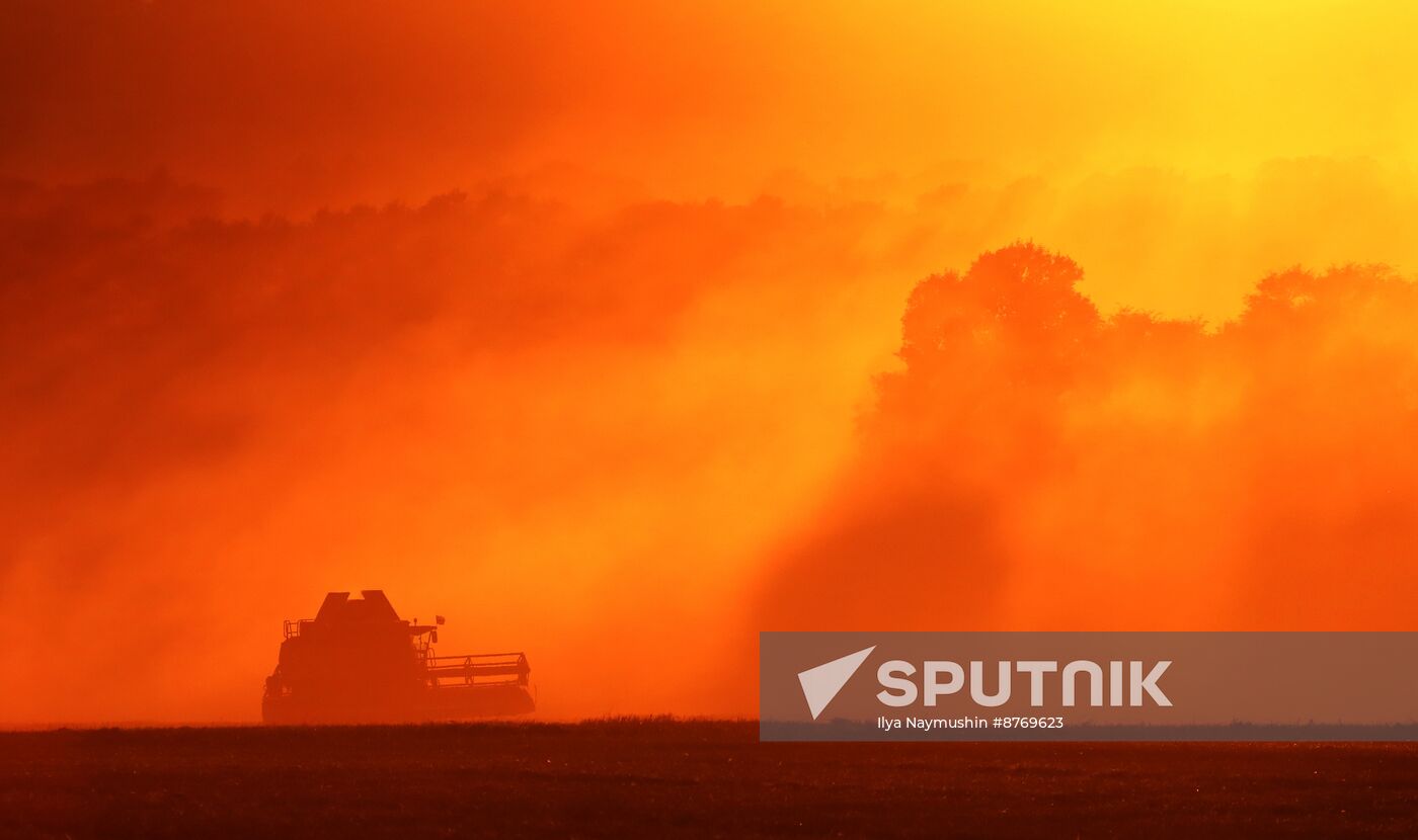 Russia Agriculture Wheat Harvesting